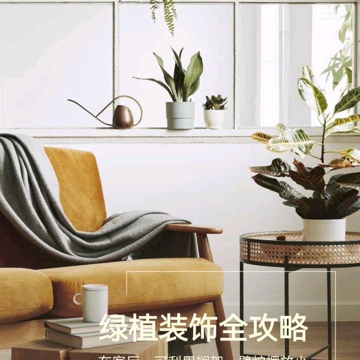 @晨先生📅