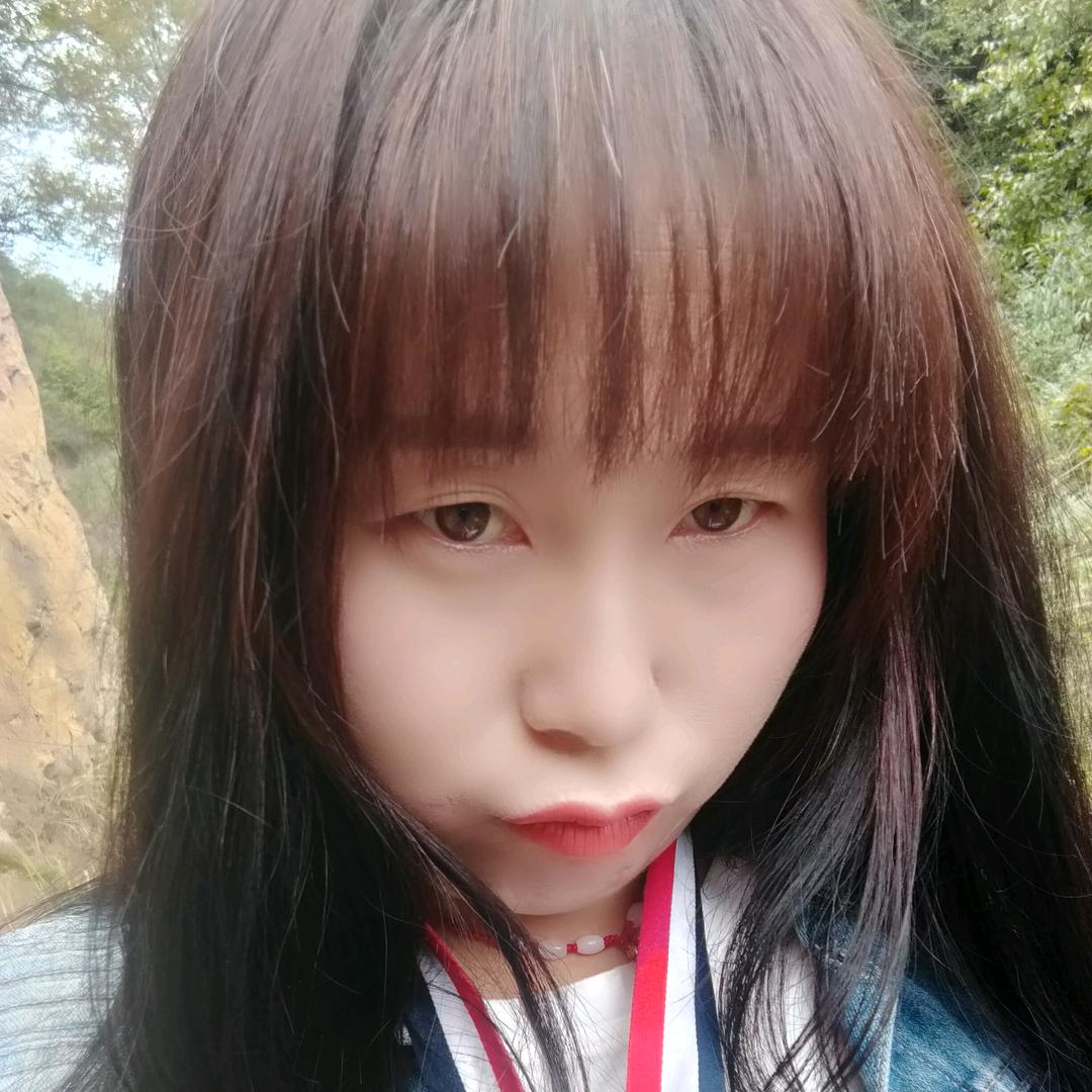 🌹🌹琴☀️☀️