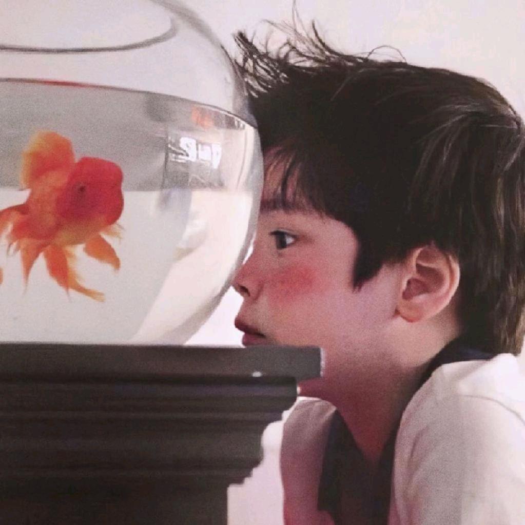 红鲤鱼与绿鲤鱼与咸鱼