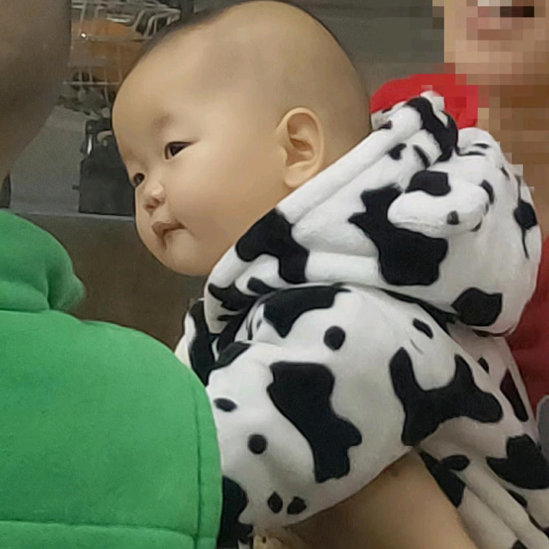 晓彤博