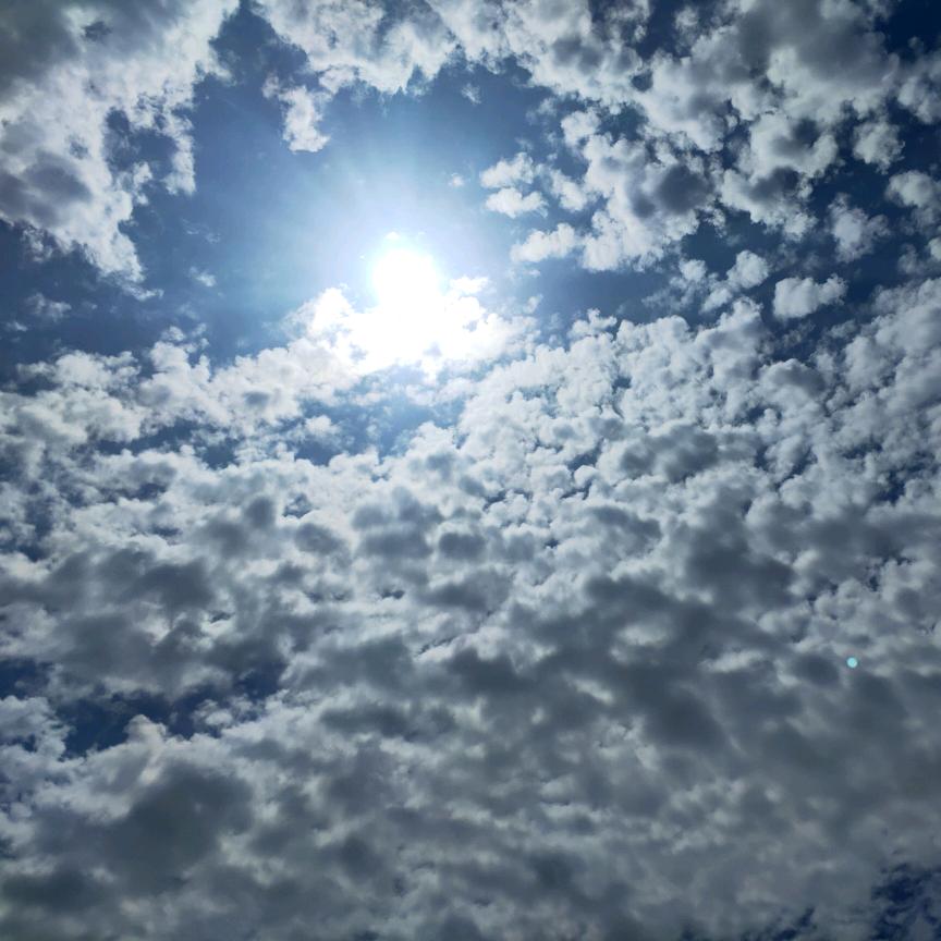 阳光总在风雨后