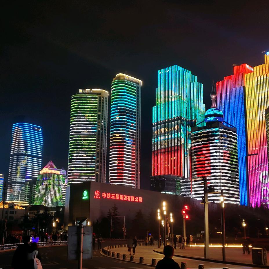 笨笨鸟