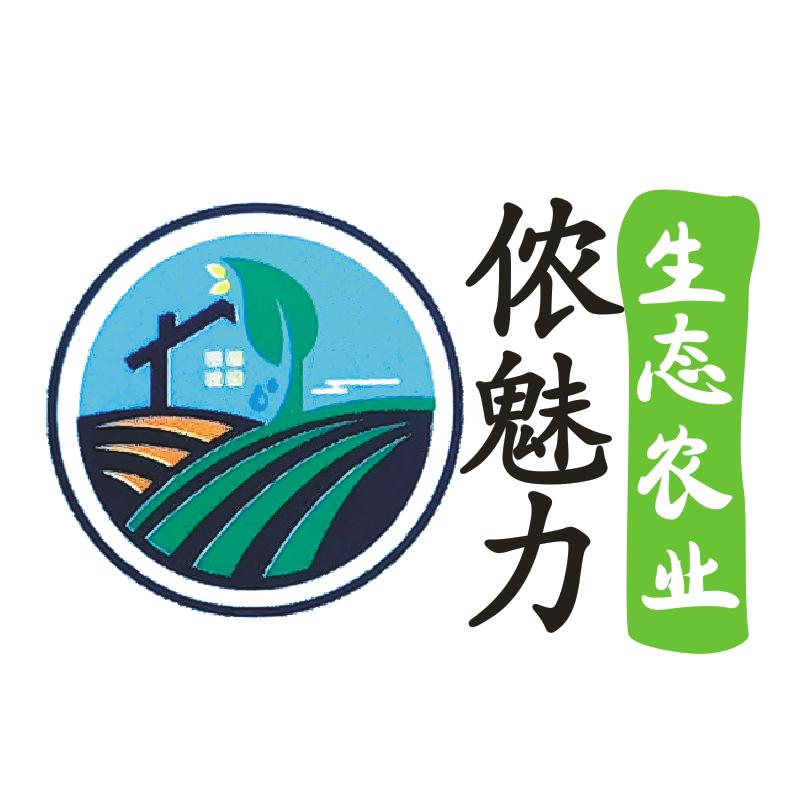王大力