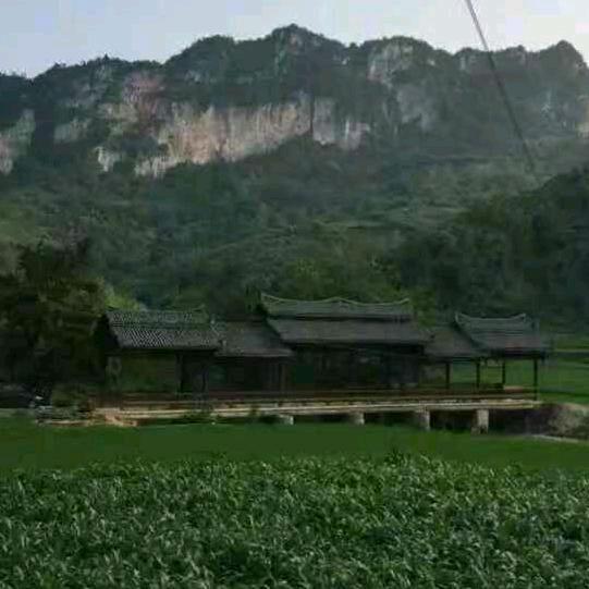 后来