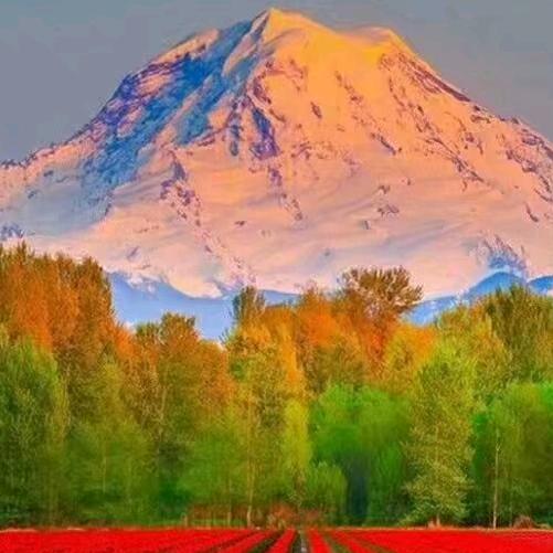 微笑前行