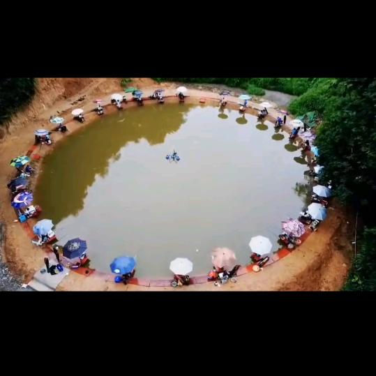 南岐塘棉木冲钓鱼场