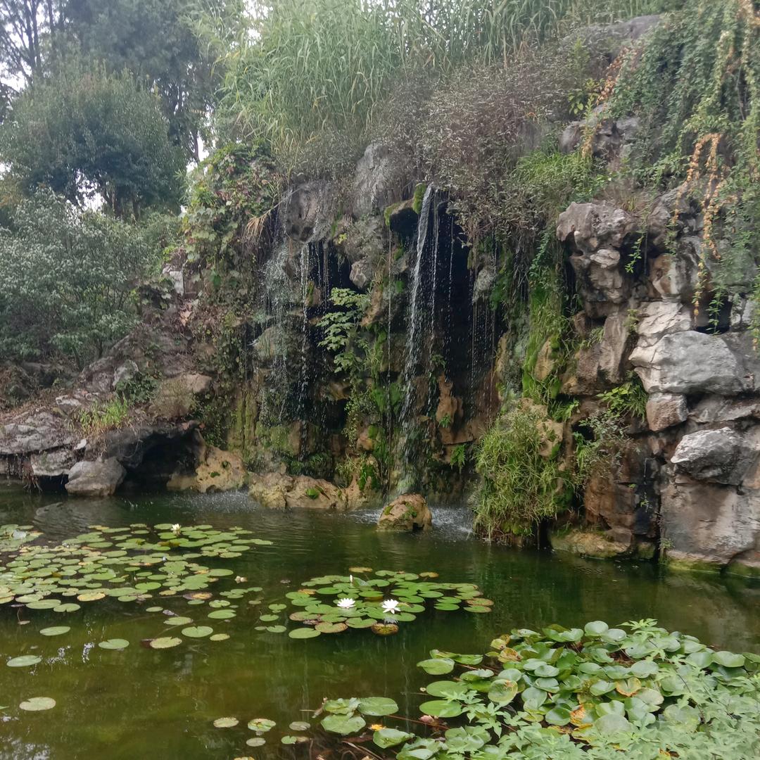 辉哥 办理车辆业务