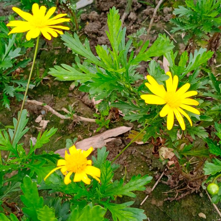 小雨爱跳广场舞