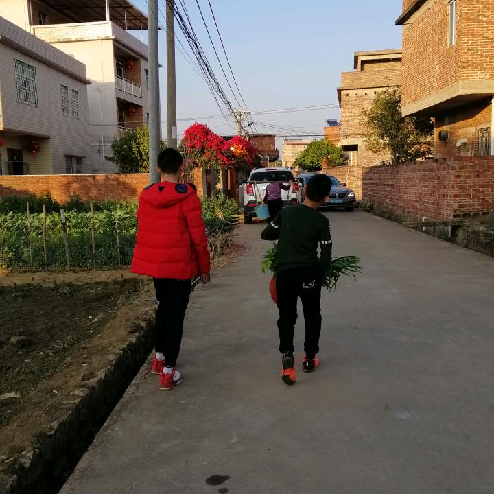鸿运家电
