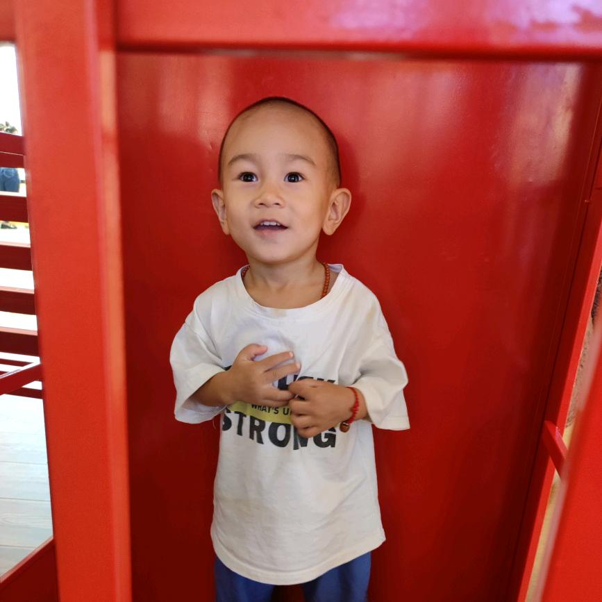 襄阳刘--专业美缝