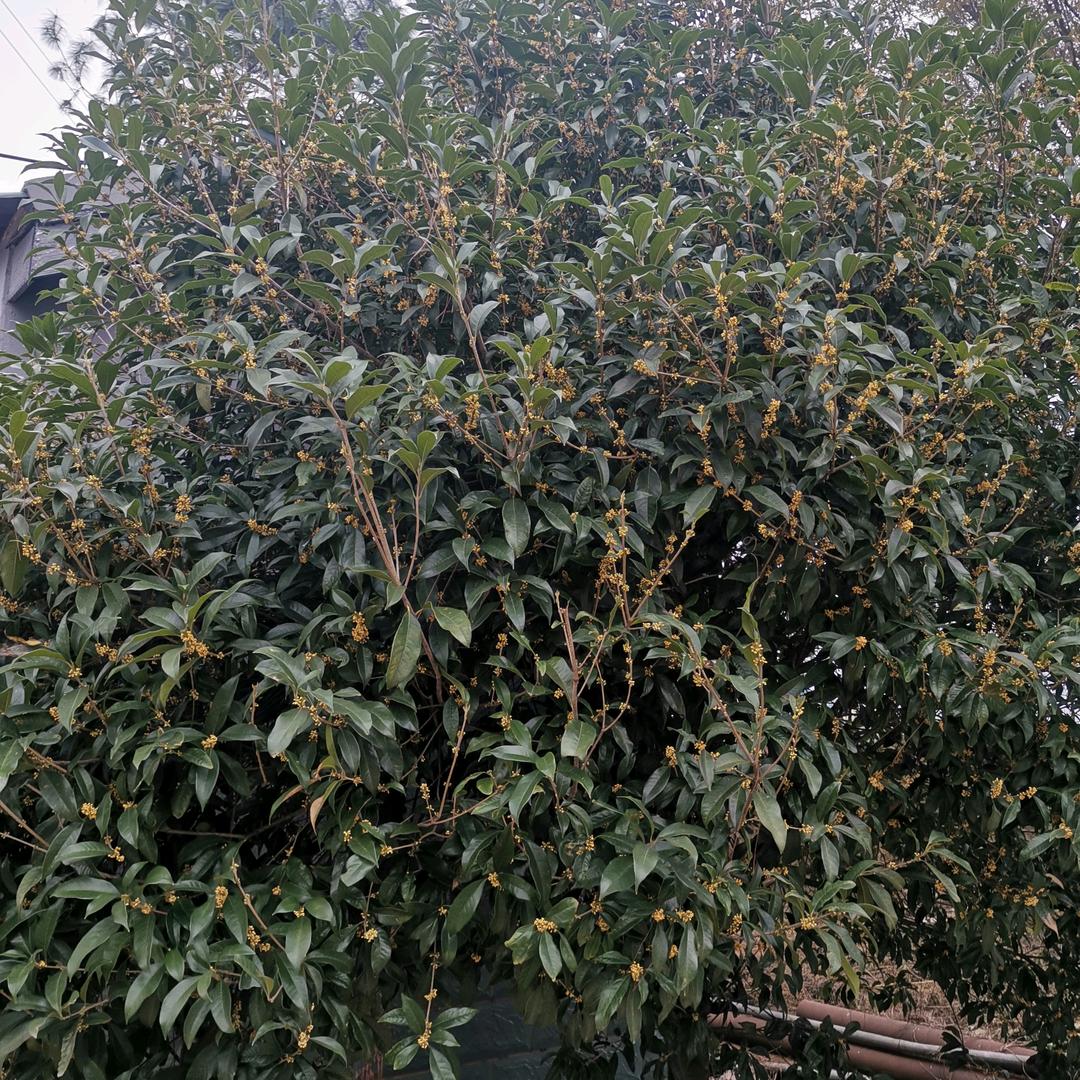 珍惜缘