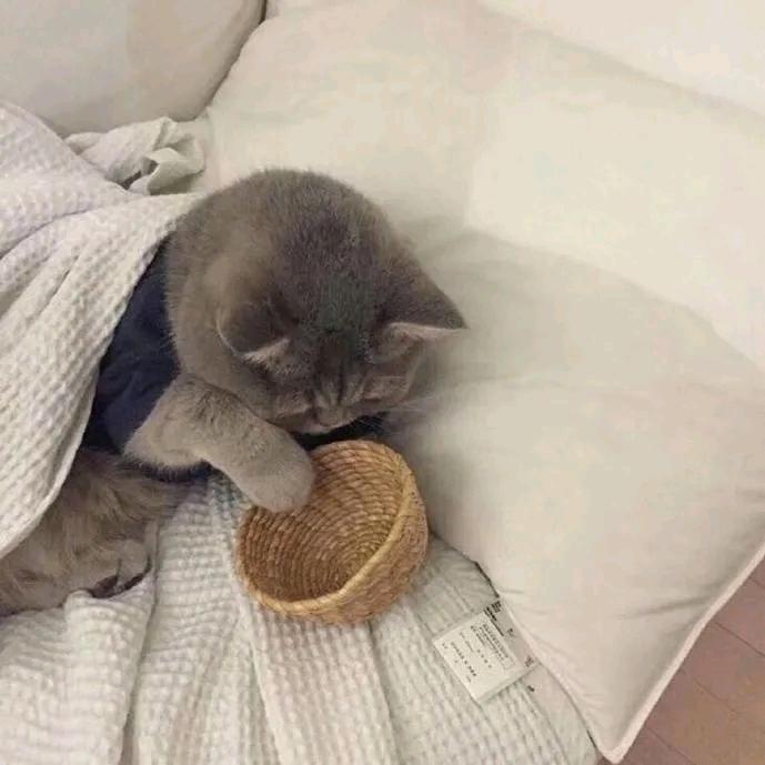 是头发呀～