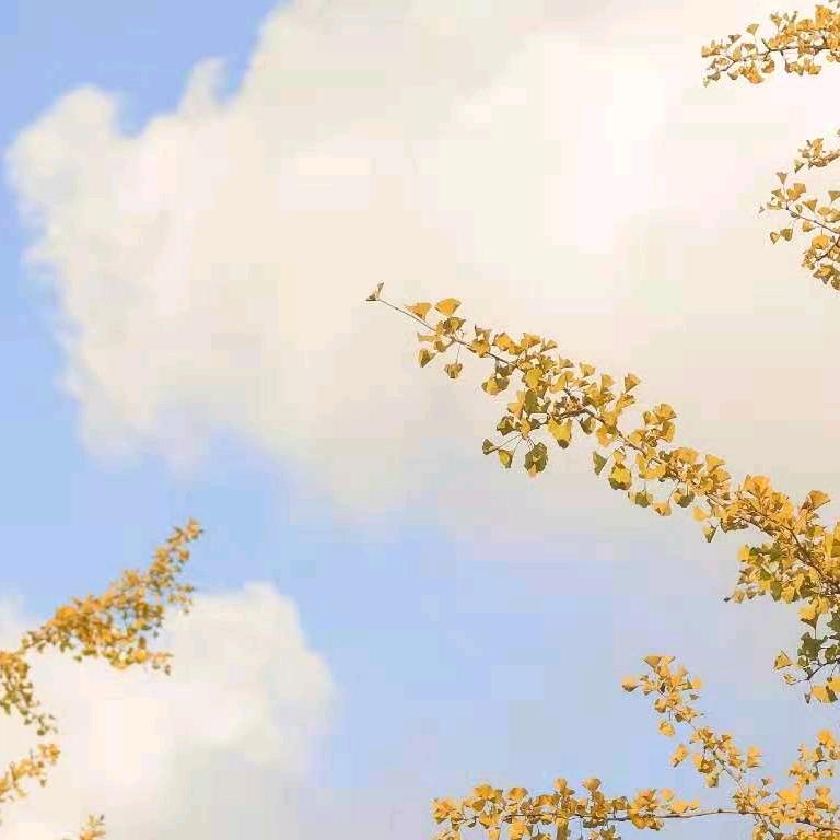 余生为自己而活