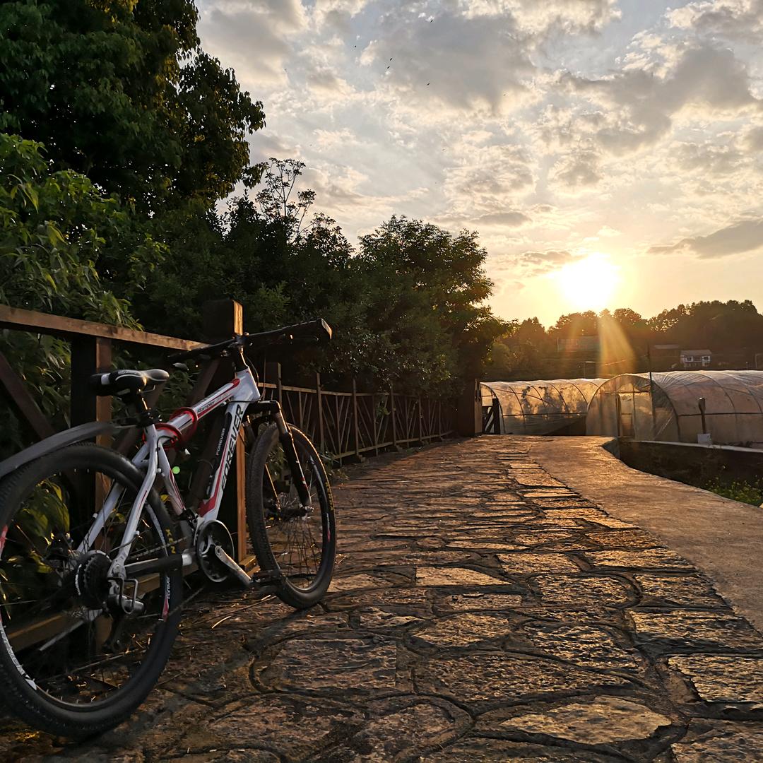 途径日暮不赏、