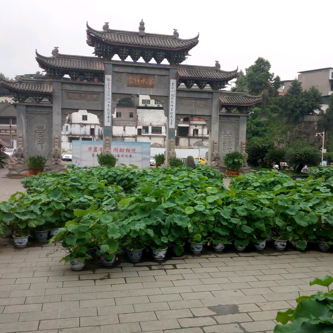 重庆斌哥