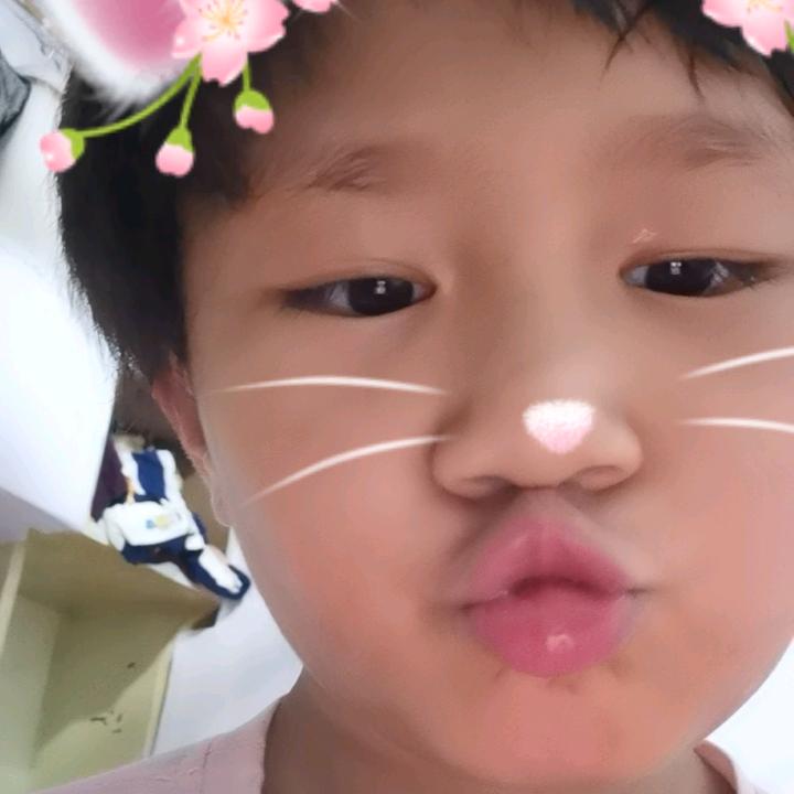小朝哥