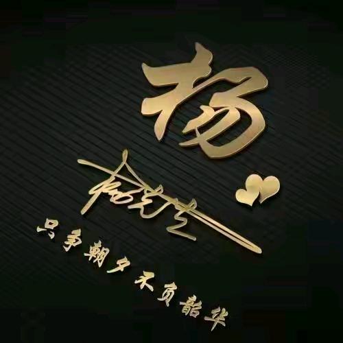 杨公子