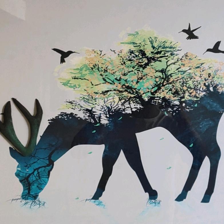 接受无常、放下执着