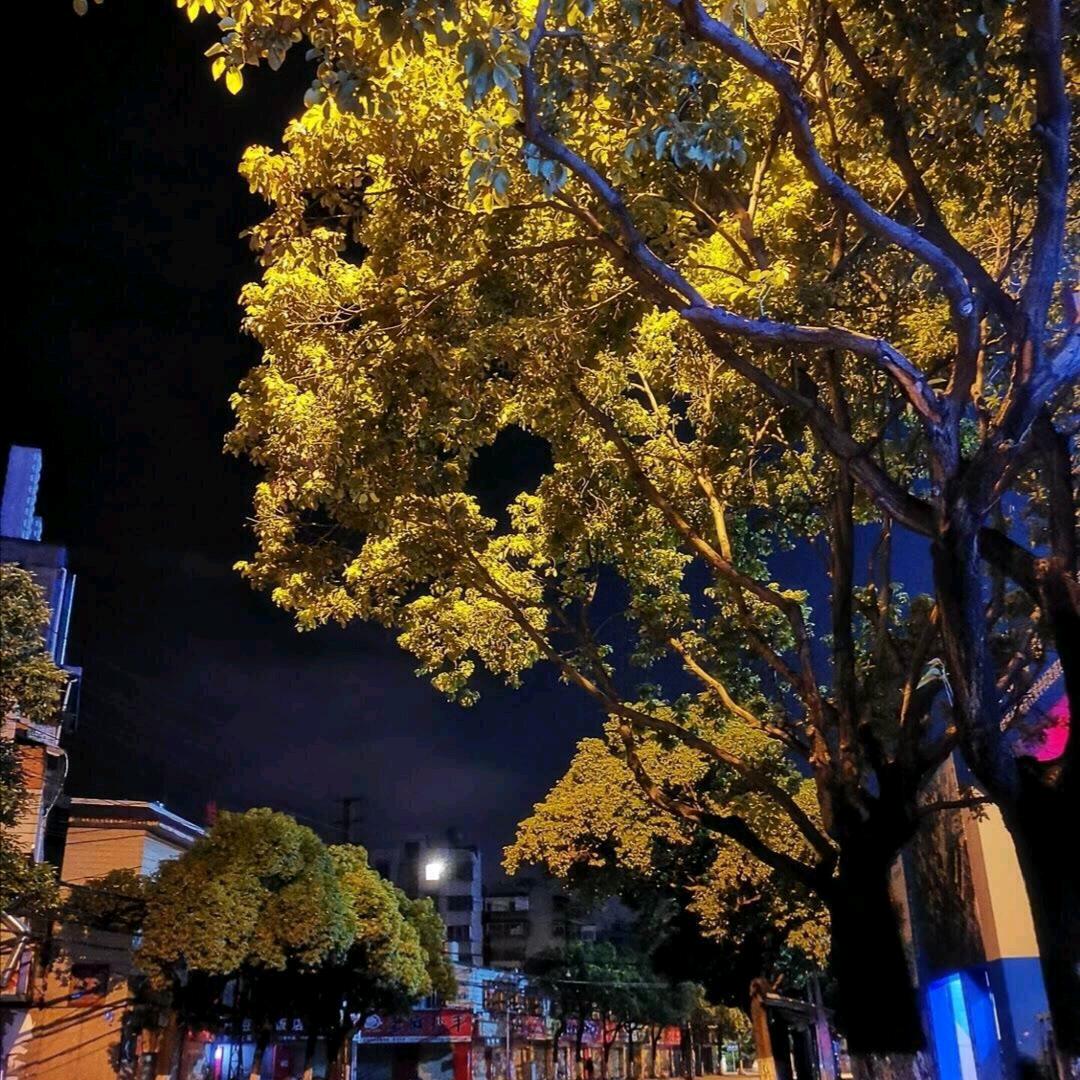 坤