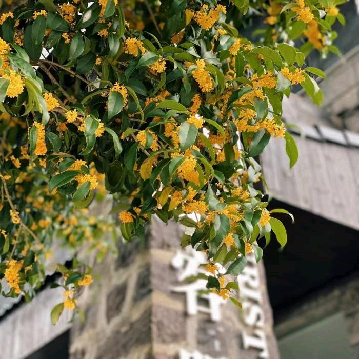 少年夫妻，老来伴