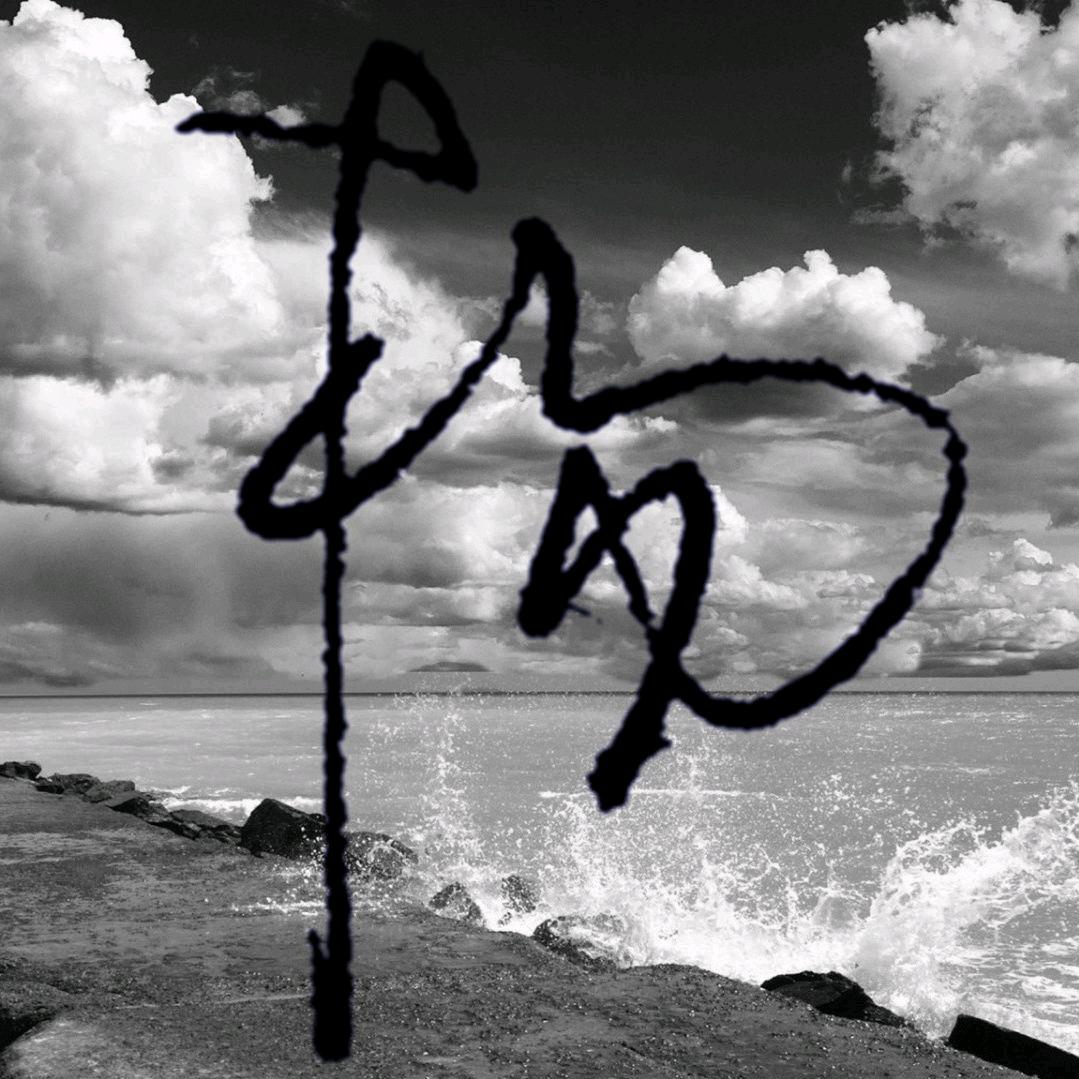 发粪涂墙（杨）