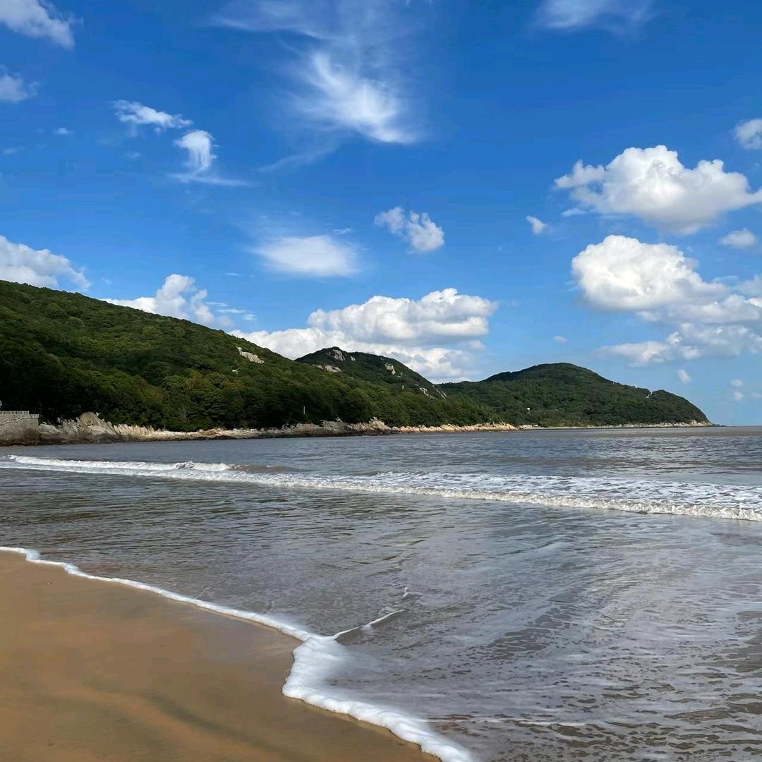 🌸繁花似锦🌸
