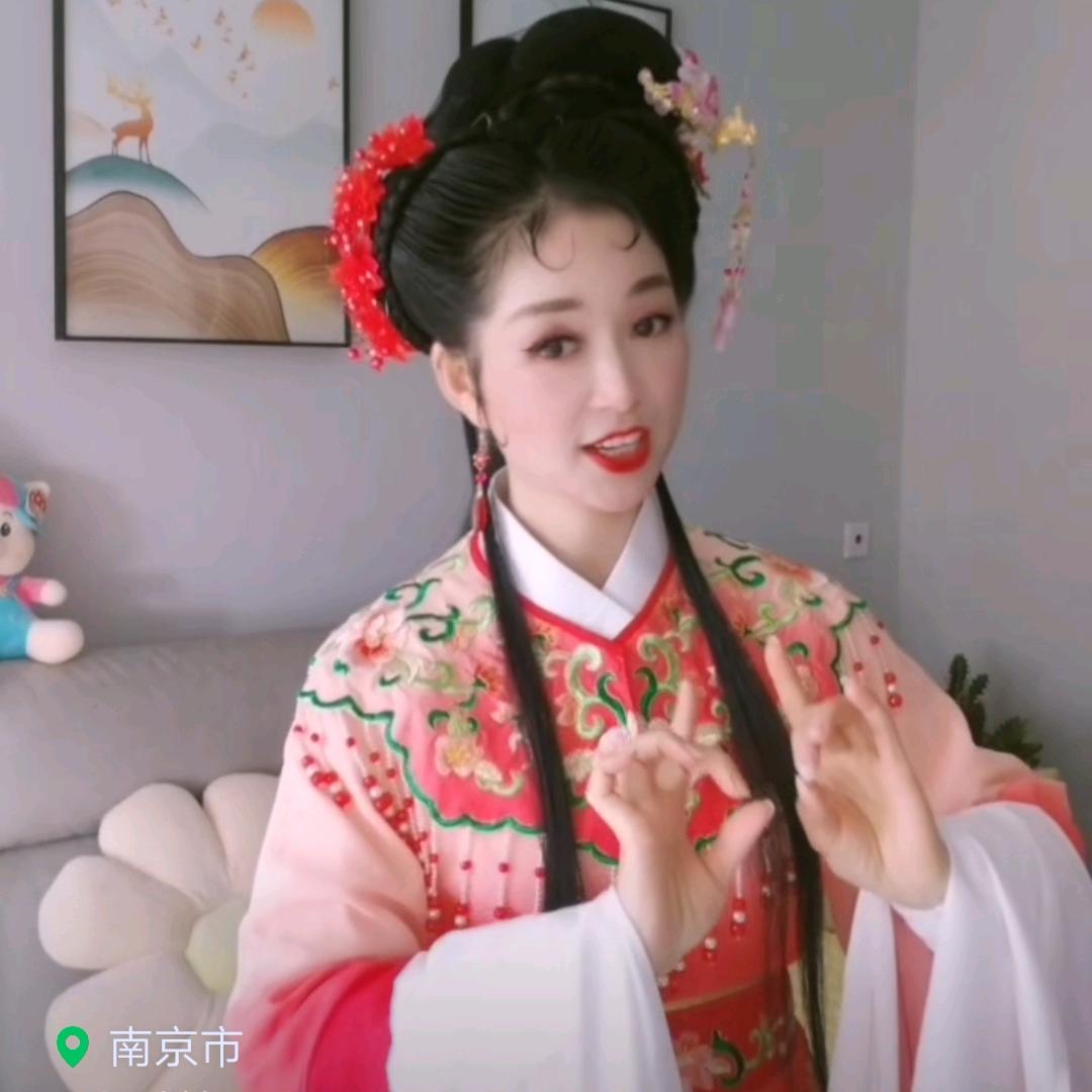 黄梅戏庐剧小燕儿🍒