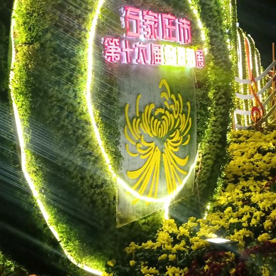 用户1603256806627快乐每一天