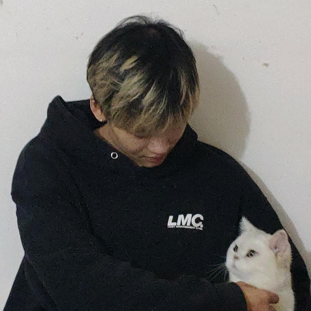 爱在夜里和小猫对视