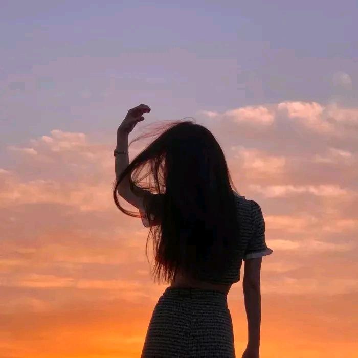 鑫鑫不打杨