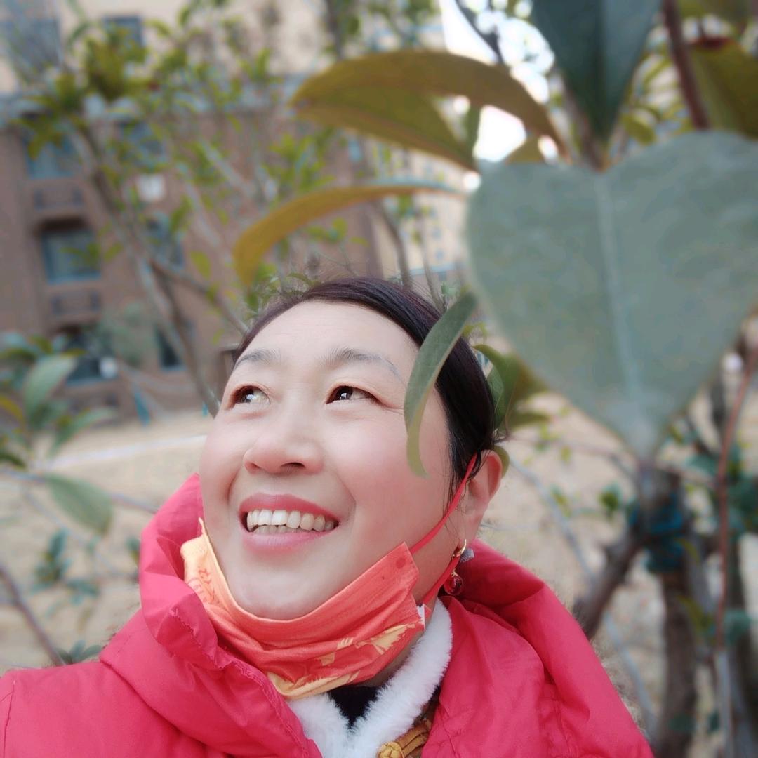 花开花落
