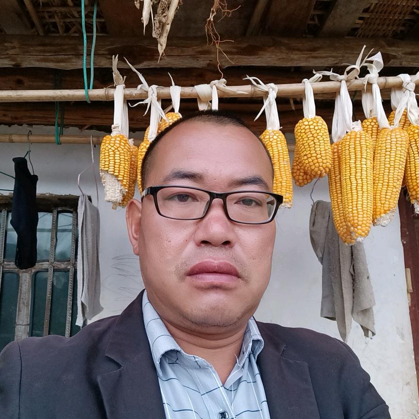 云哥回村