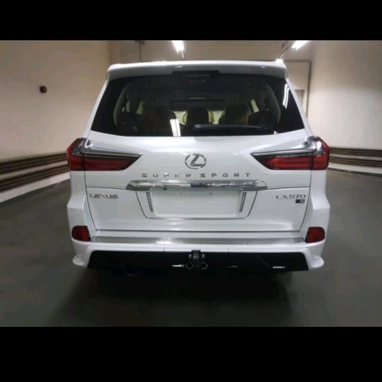 🌴～日进斗金～🌴