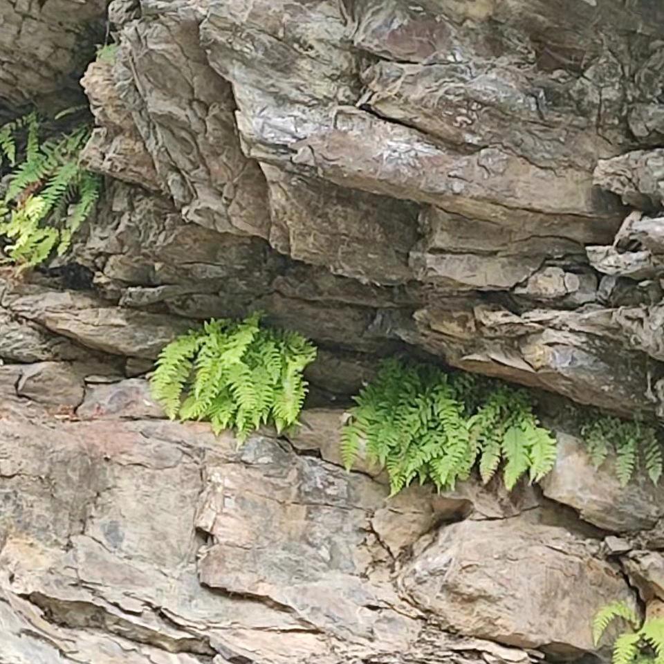 策马走天涯