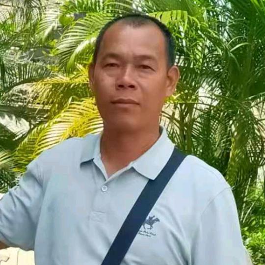 阳光总在风雨后 ？