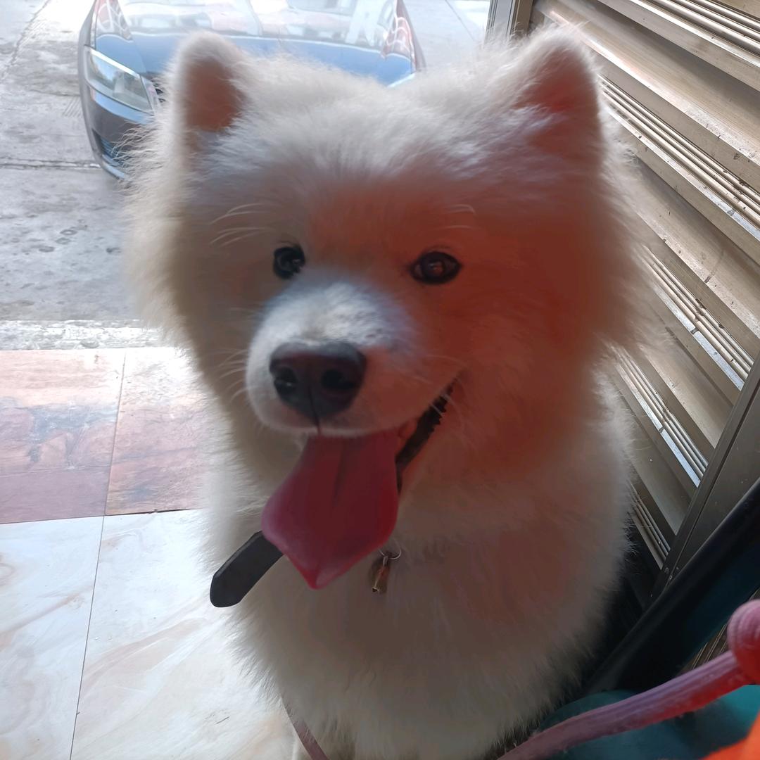 禧甜烘焙（靖安）