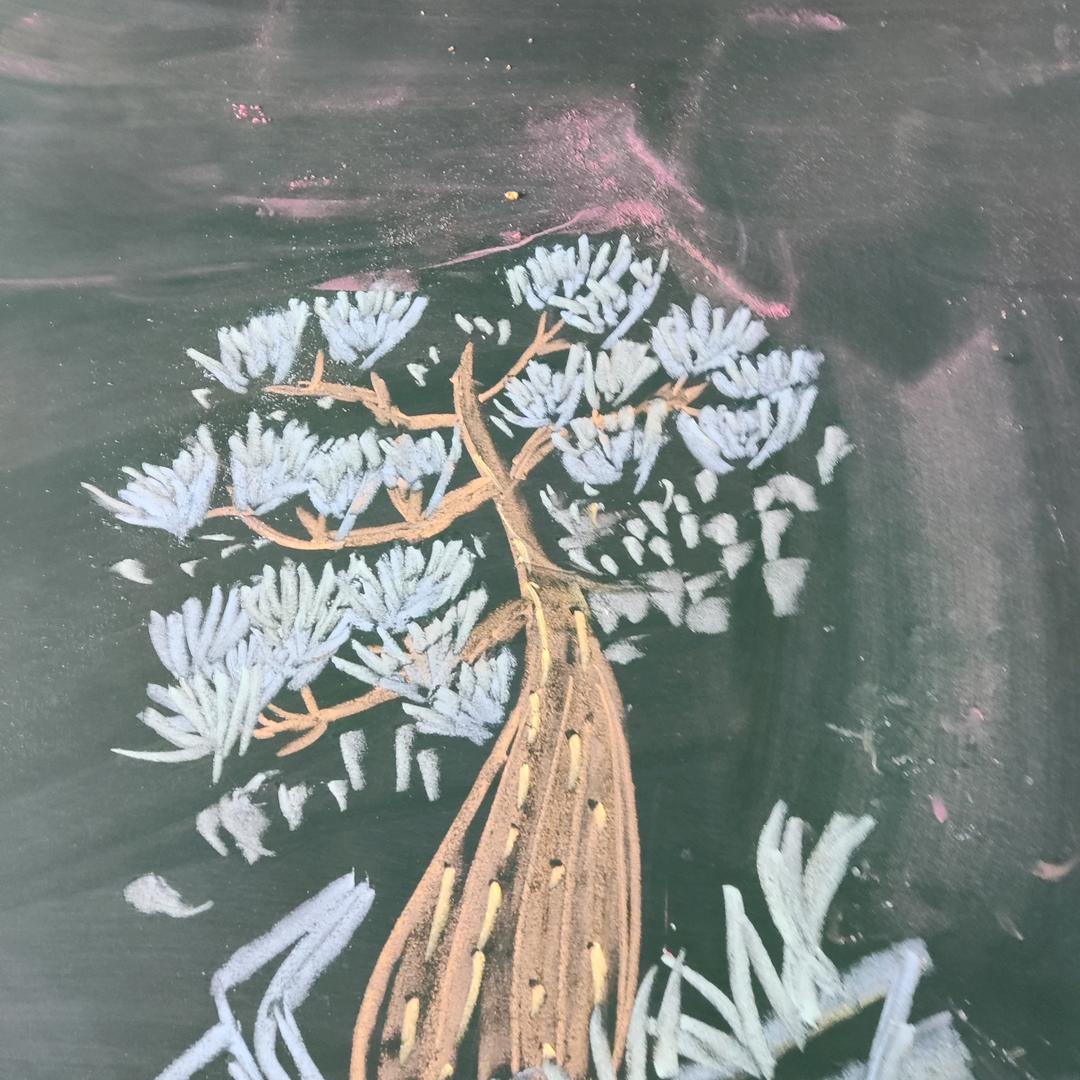 皮不皮