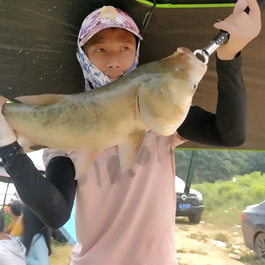 钓鱼爱好者～宝哥