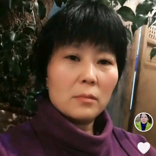 金媚娘2