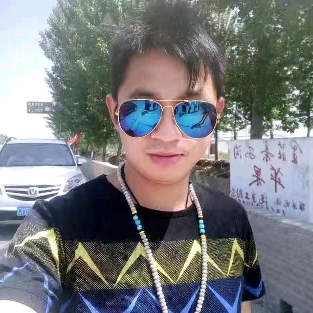 杨飞