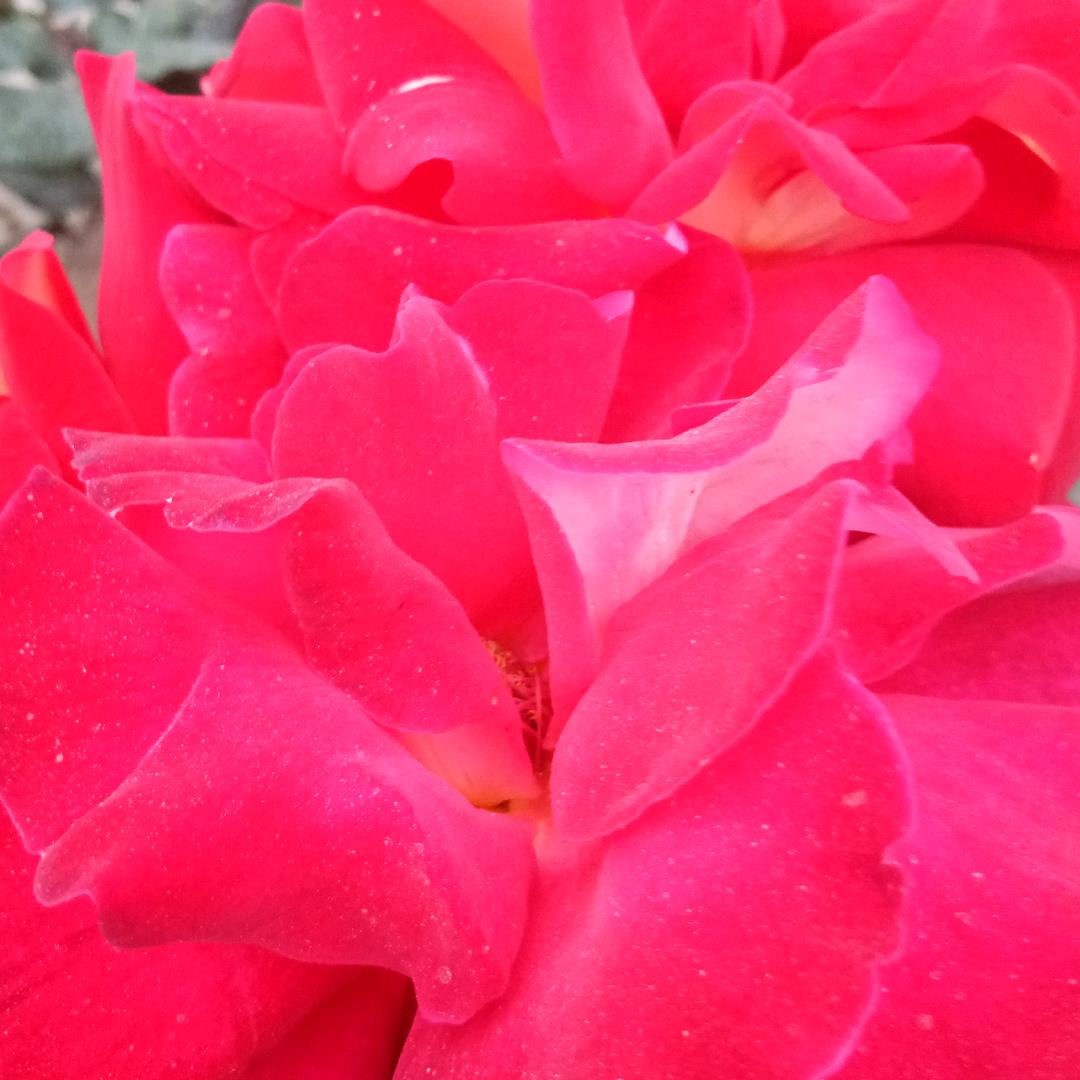 往事随风，拒绝私聊