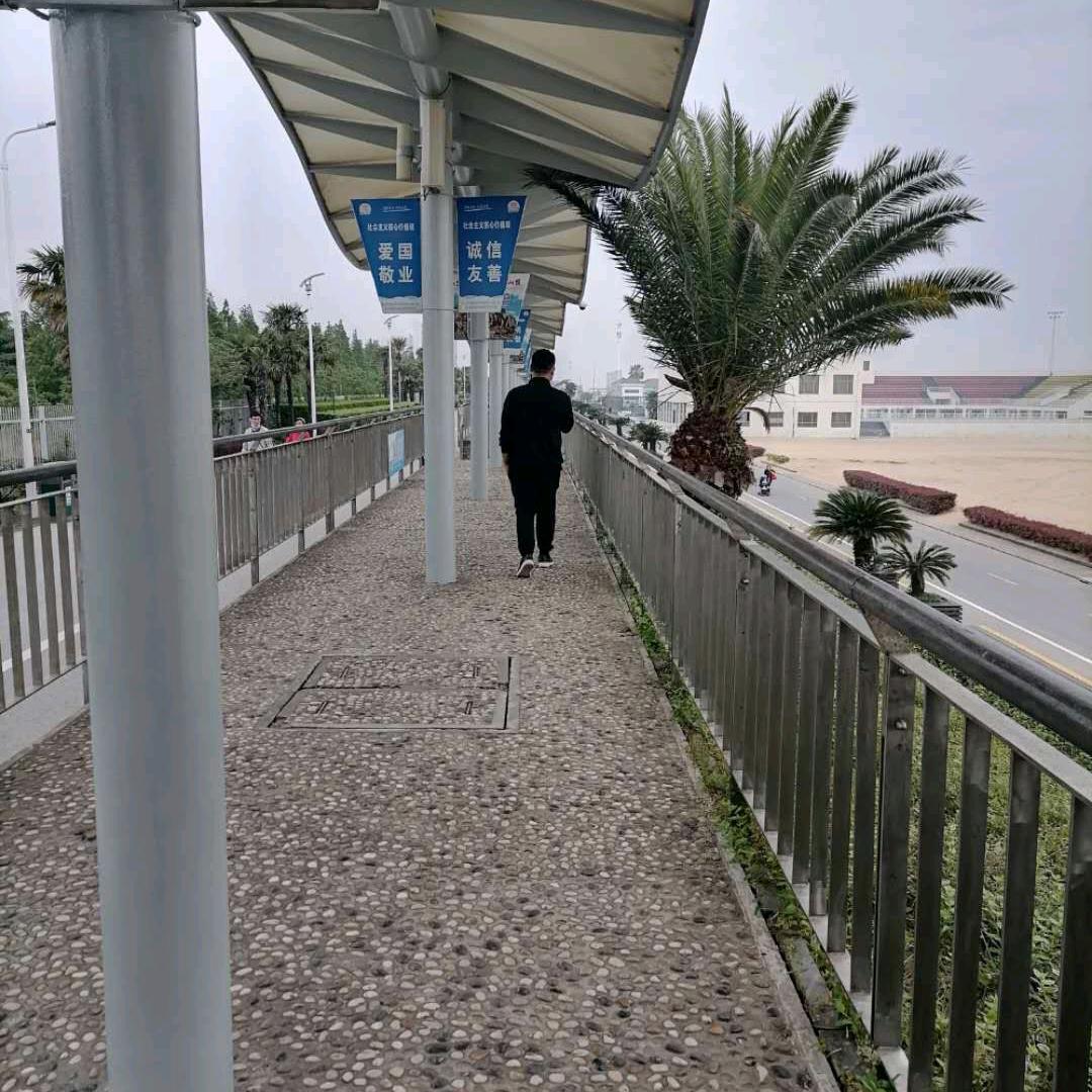 贪梦