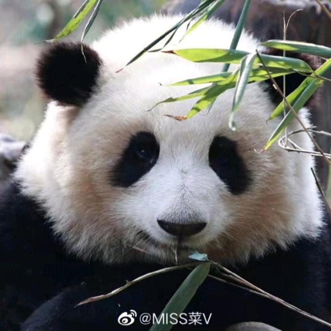 蓝色的海洋