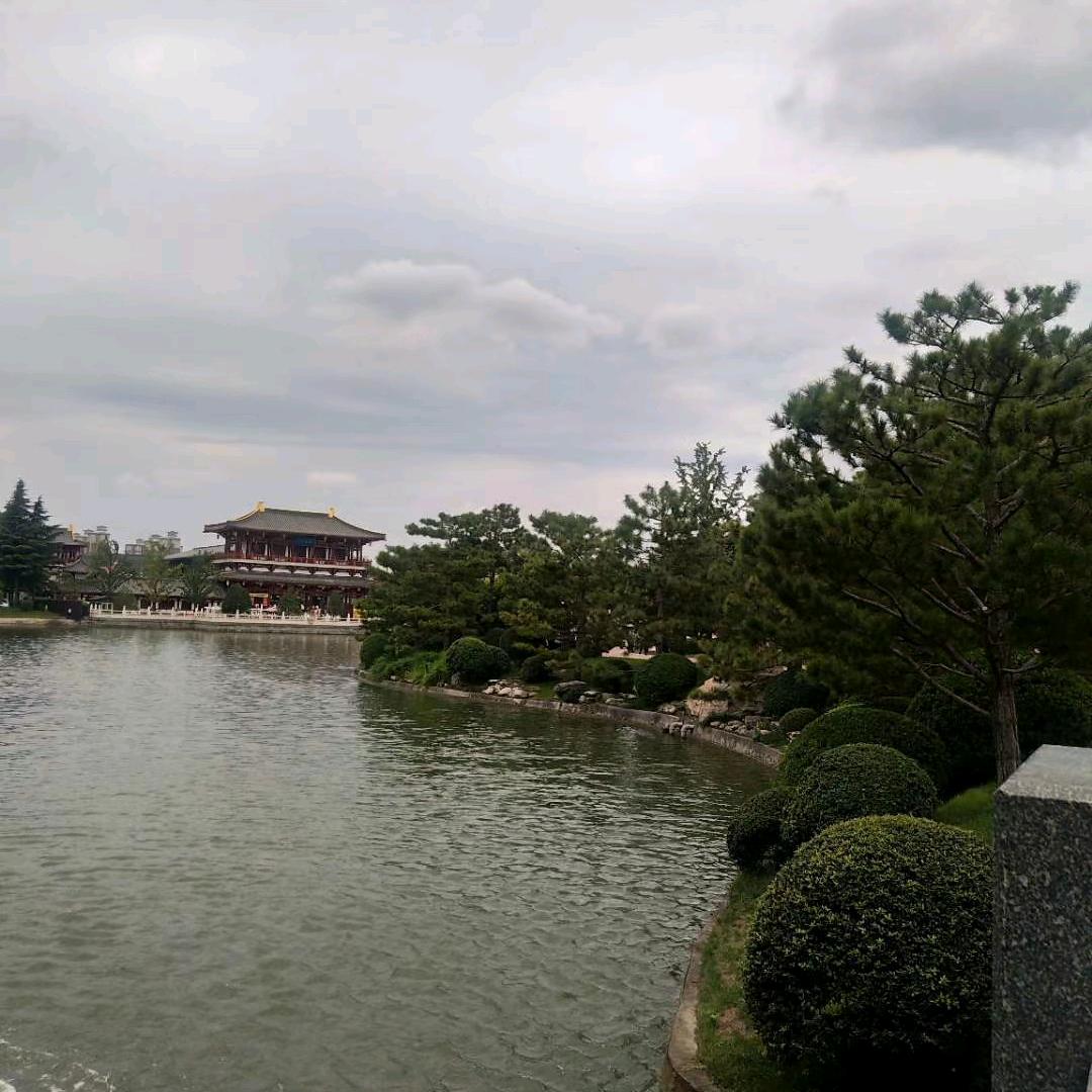 一抹阳光