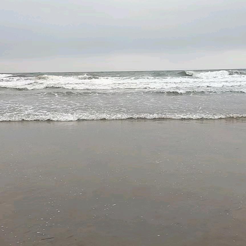 平原德百UU李金玲