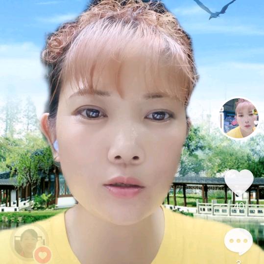 杨琴