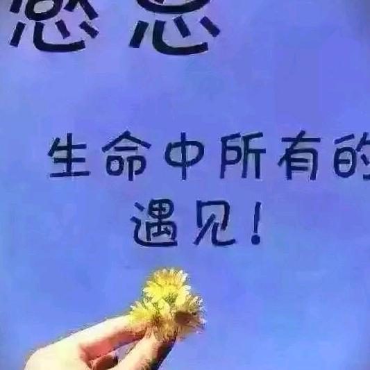 心太软