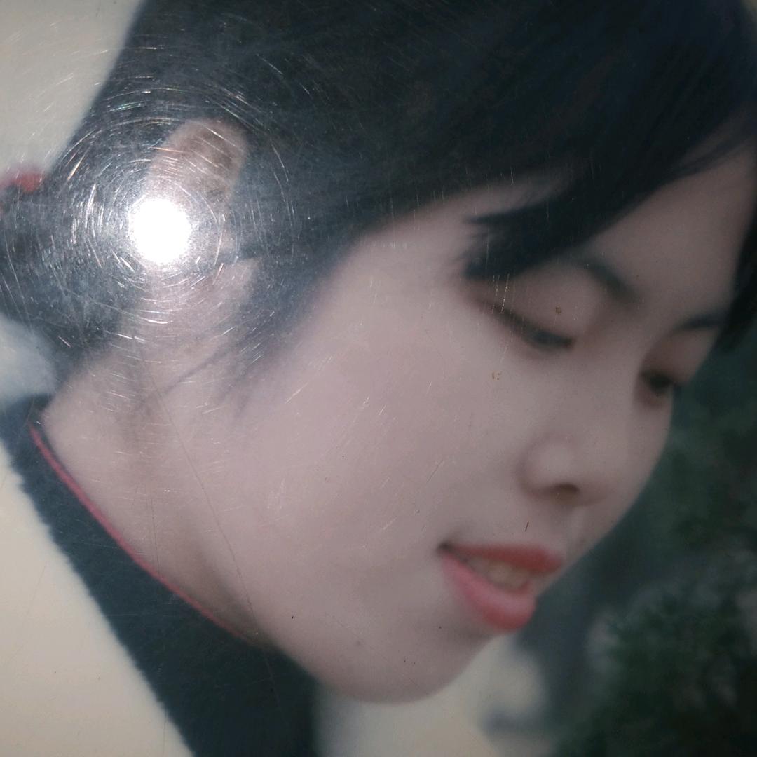 情为何物
