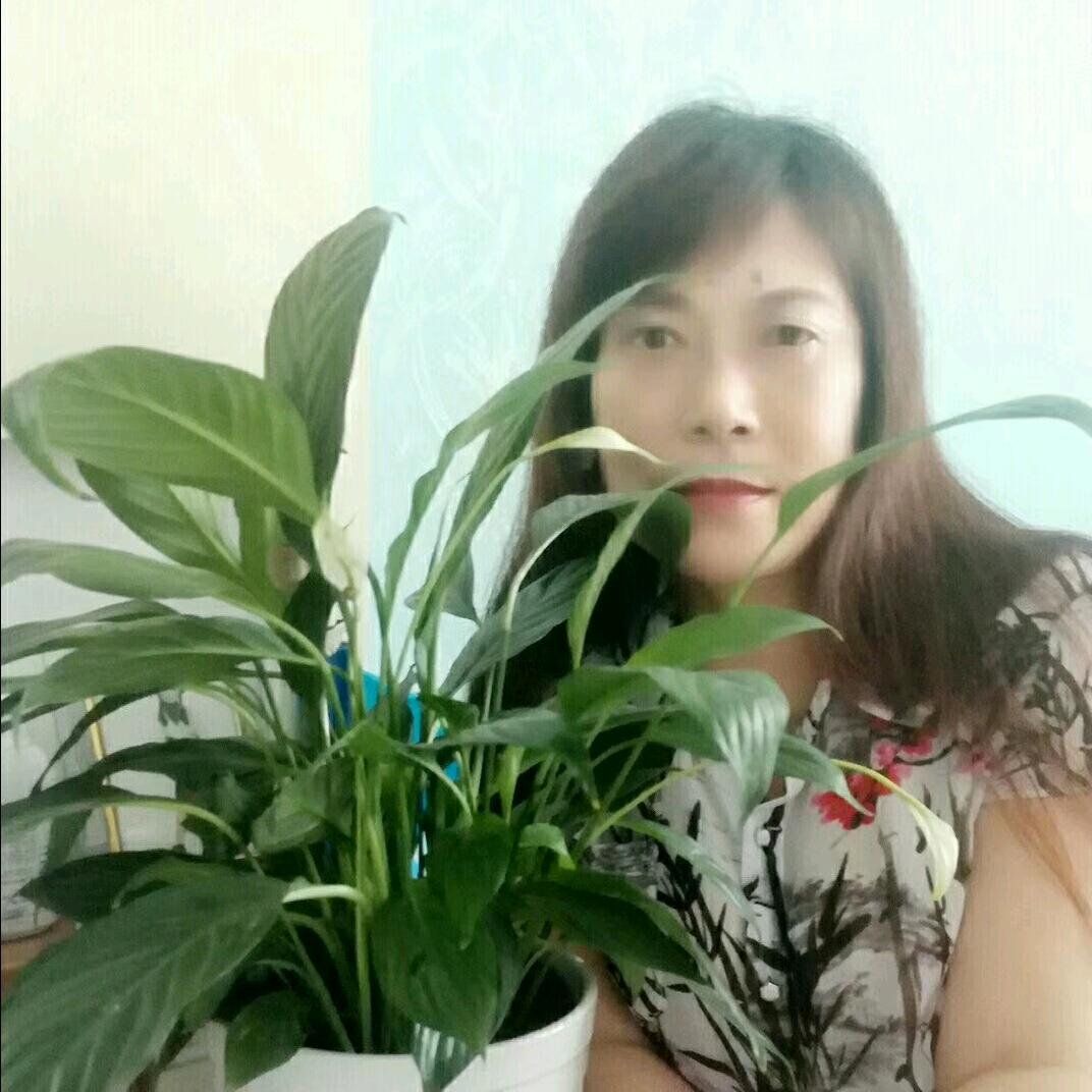 杨艾清