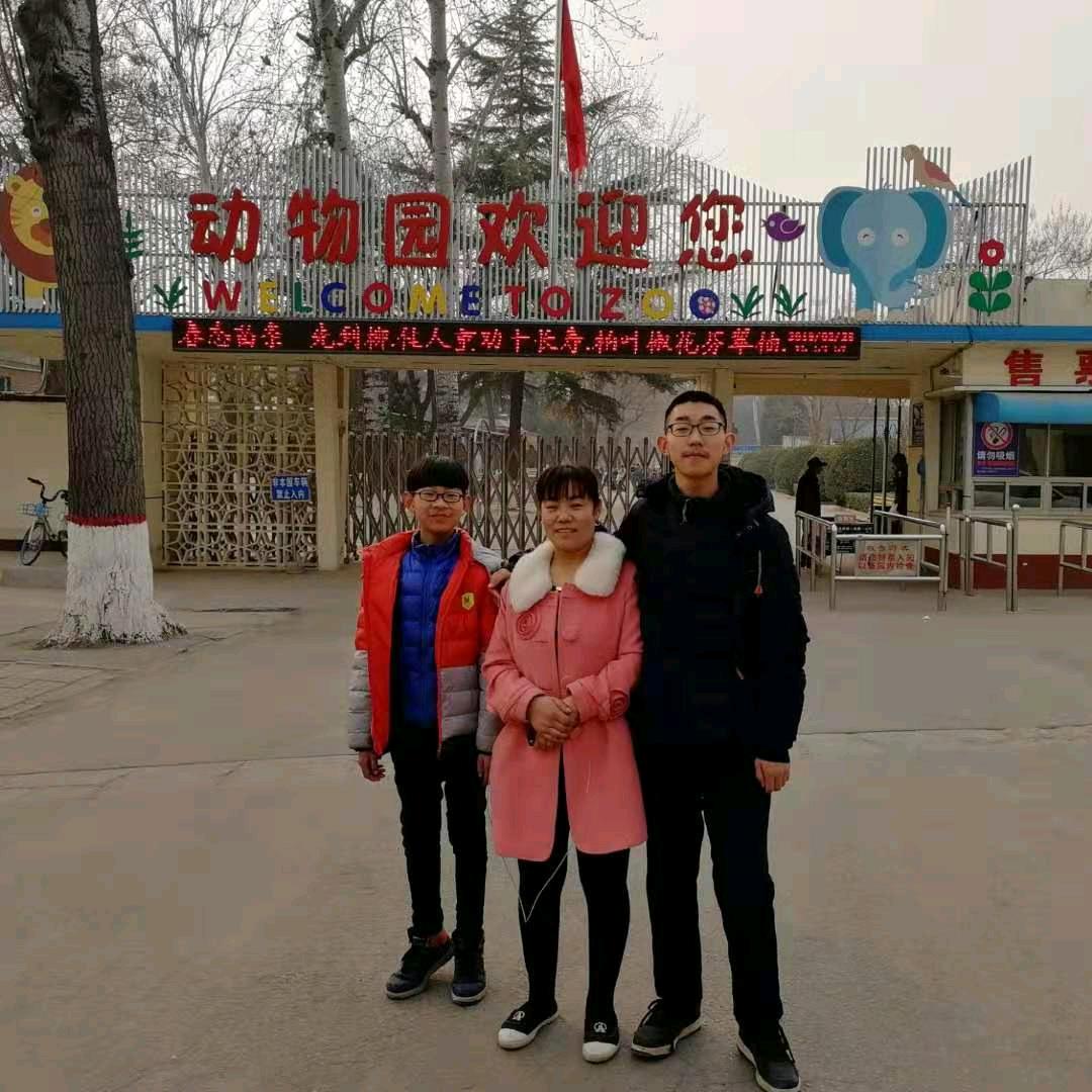 凤翼天翔